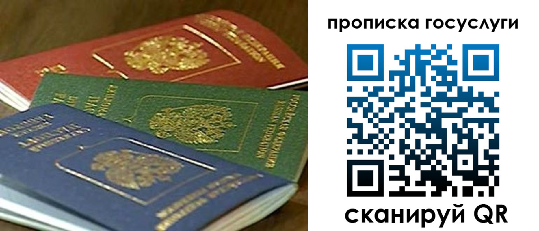 прописка гарантия в Тихорецке